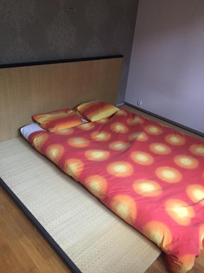 Chambre Double Futon Et Chambre Classique Au Coeur Du Vercors Saint-Agnan-en-Vercors 外观 照片